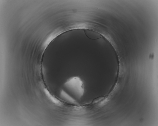 X0000111820850200908131521