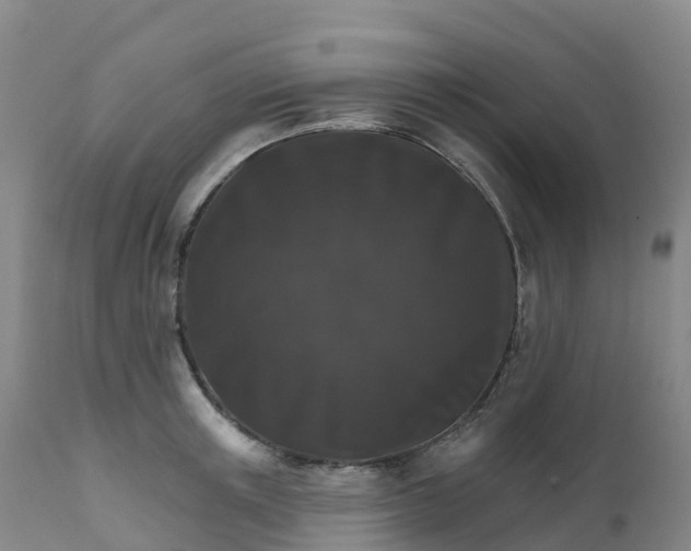 X0000111820851200908131521