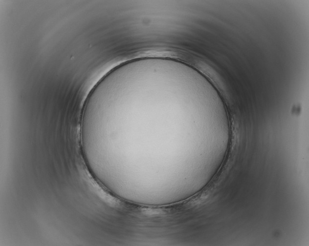 X0000111820852200908131521