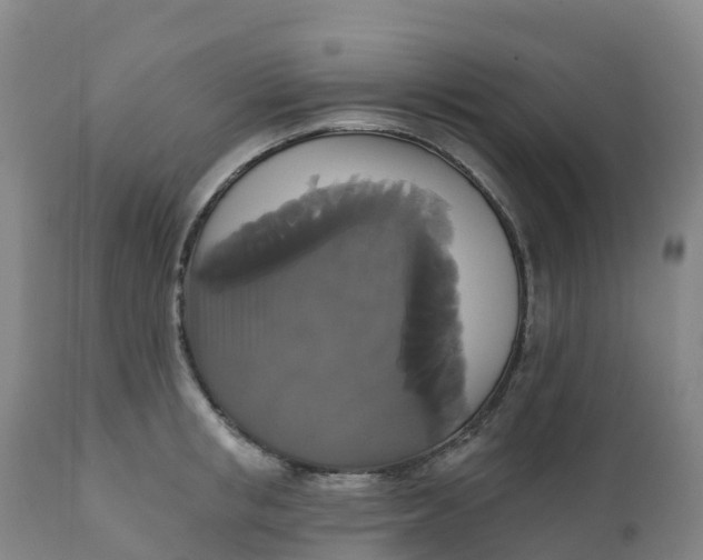 X0000111820853200908131521