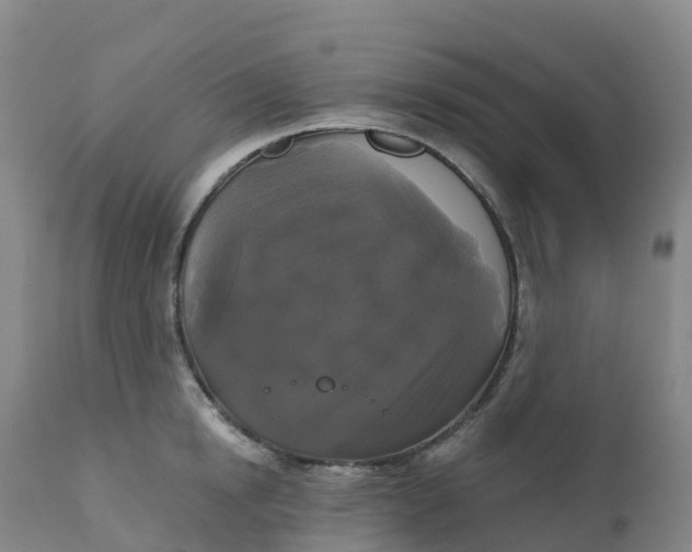 X0000111820854200908131521