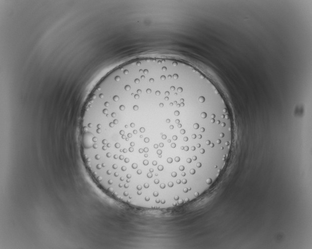 X0000111820855200908131521