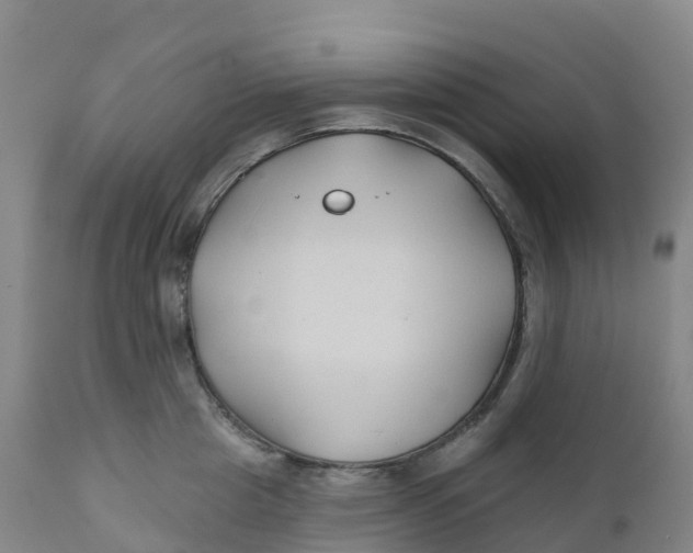 X0000111820857200908131521