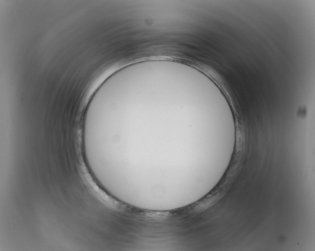 X0000111820859200908131521