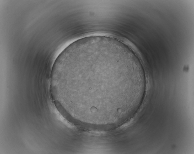 X0000111820860200908131521