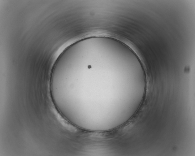 X0000111820861200908131521