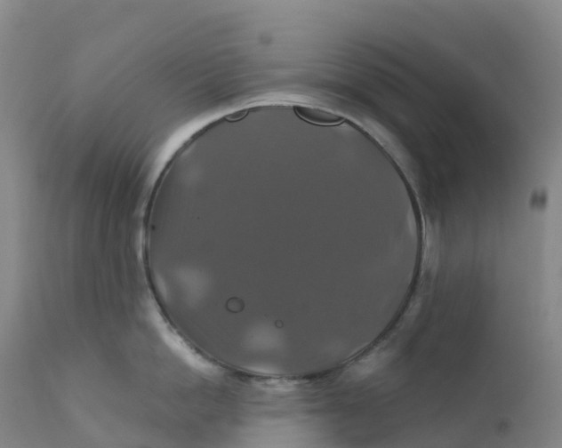 X0000111820862200908131521