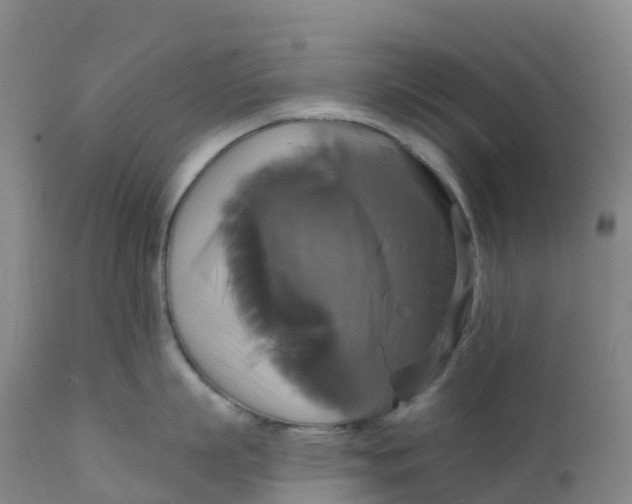 X0000111820863200908131521