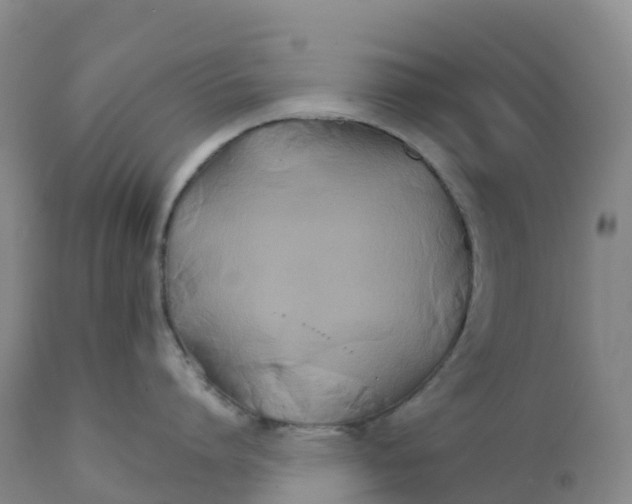 X0000111820864200908131521