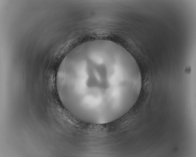 X0000111820866200908131521