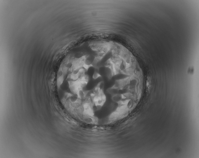 X0000111820867200908131521