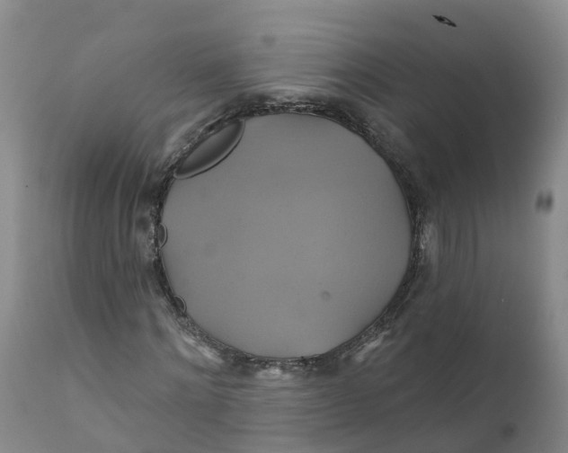 X0000111820868200908131521