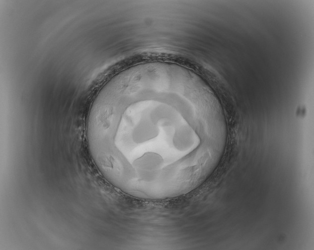 X0000111820870200908131521