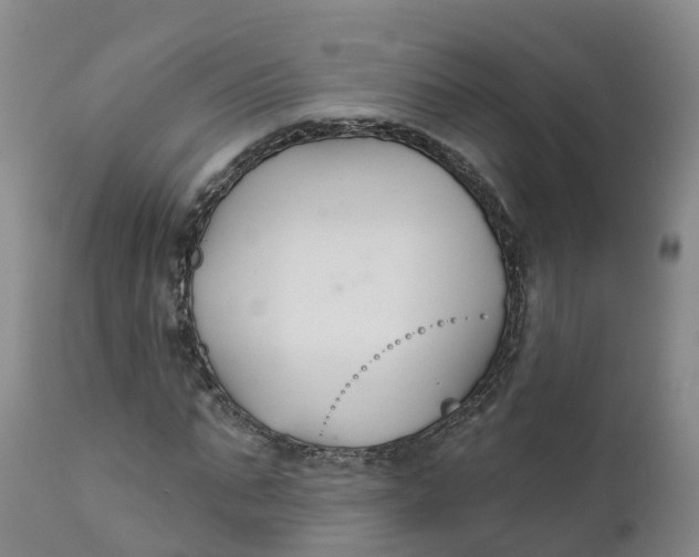 X0000111820871200908131521