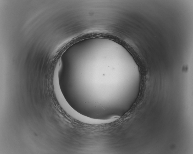 X0000111820872200908131521