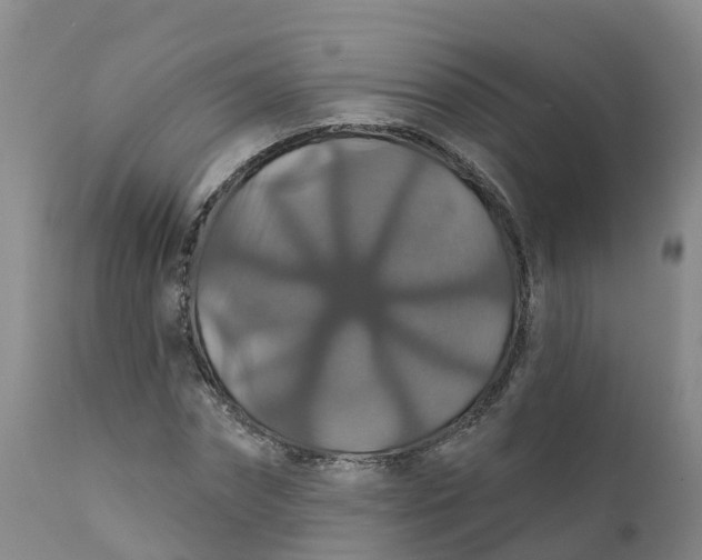 X0000111820874200908131521