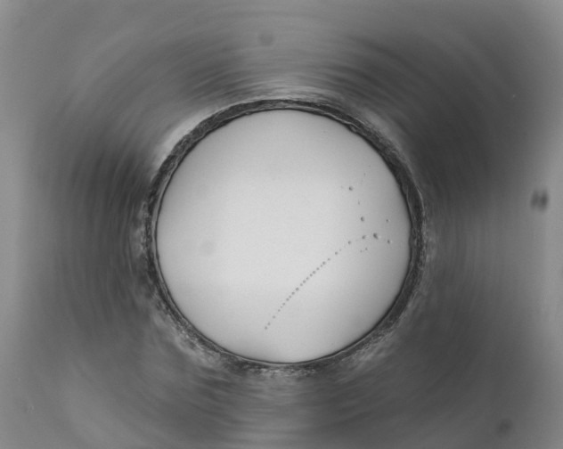 X0000111820875200908131521