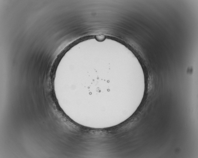 X0000111820876200908131521