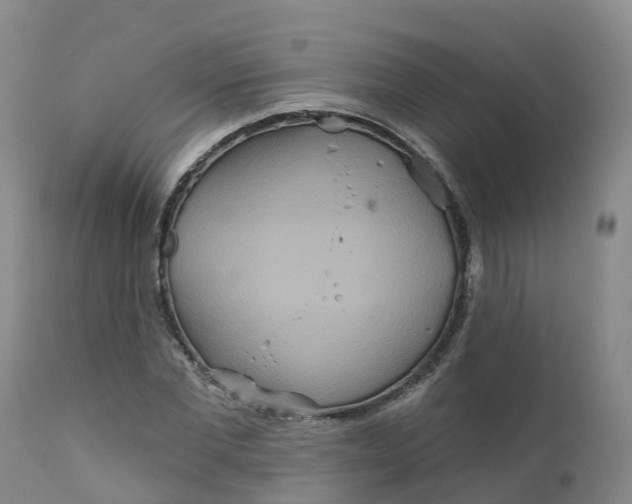 X0000111820877200908131521