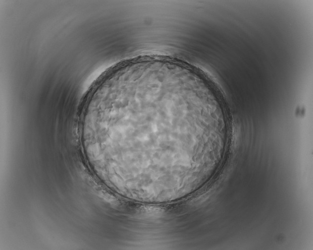 X0000111820878200908131521