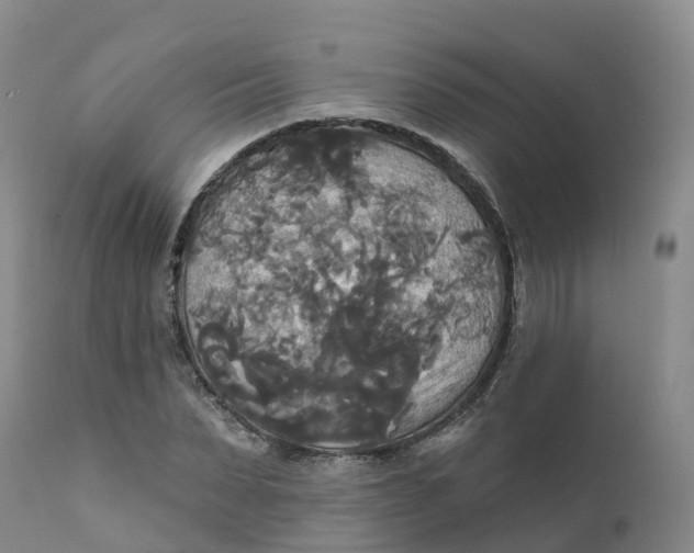 X0000111820879200908131521