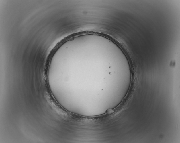 X0000111820880200908131521