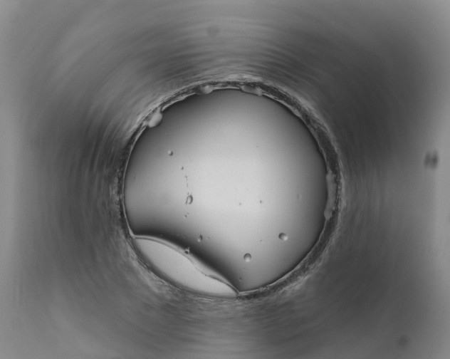 X0000111820881200908131521