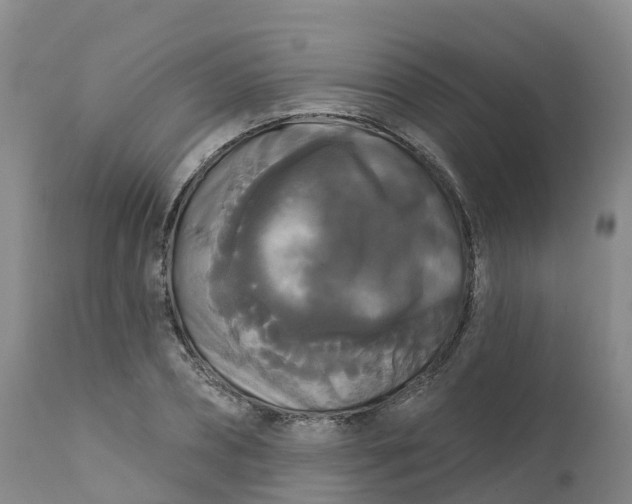 X0000111820882200908131520