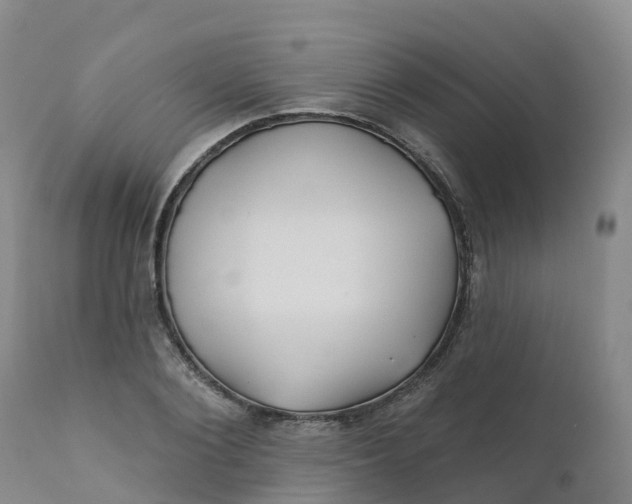 X0000111820884200908131520