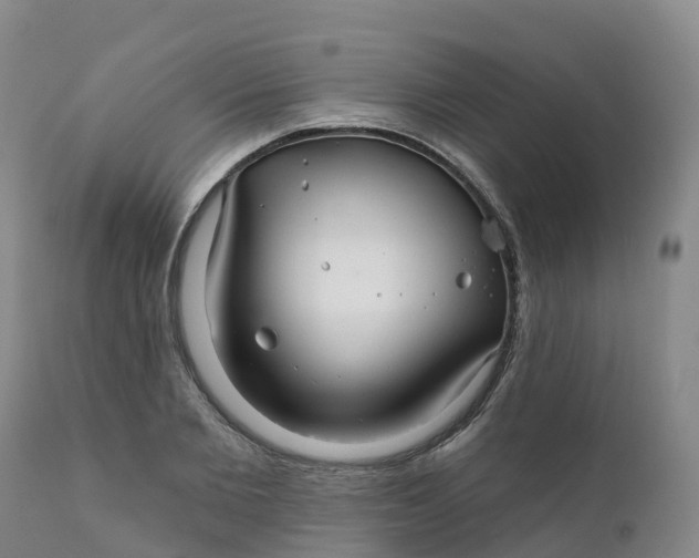 X0000111820885200908131520