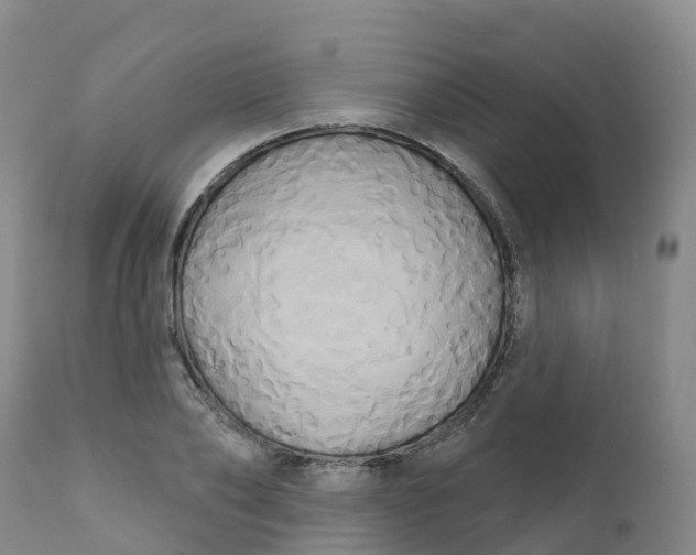 X0000111820886200908131520