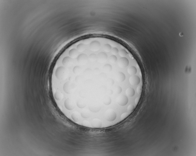 X0000111820887200908131520