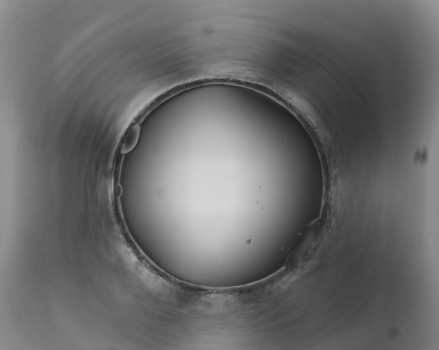 X0000111820888200908131520