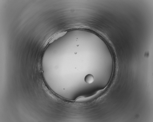 X0000111820889200908131520