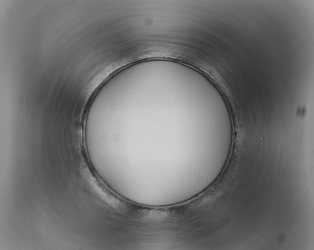 X0000111820890200908131520