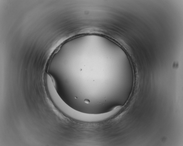 X0000111820893200908131520