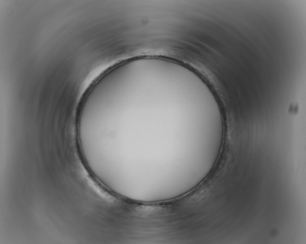 X0000111820894200908131520