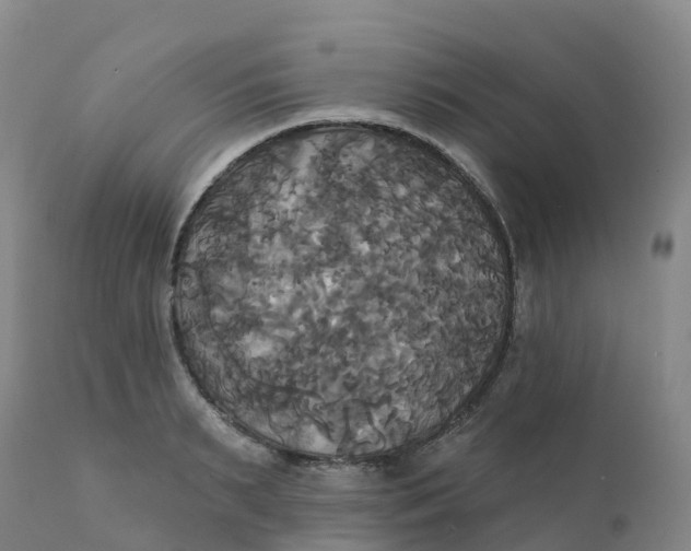 X0000111820895200908131520