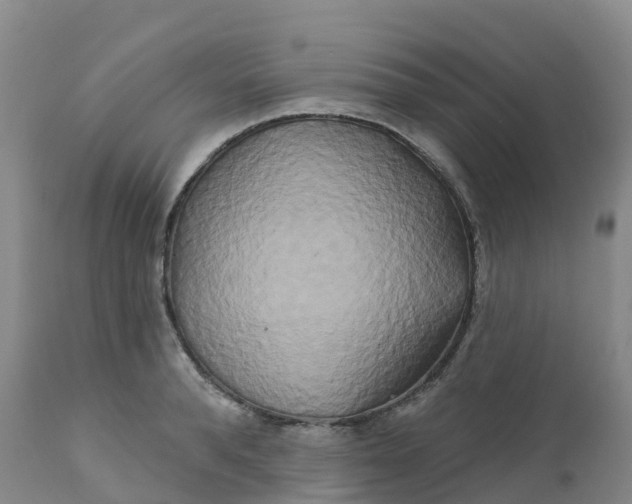 X0000111820896200908131520