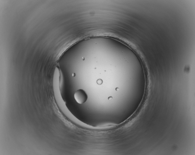 X0000111820897200908131520