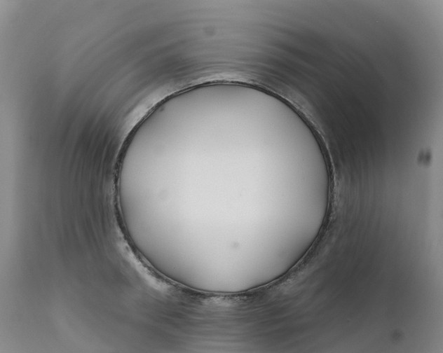 X0000111820898200908131520