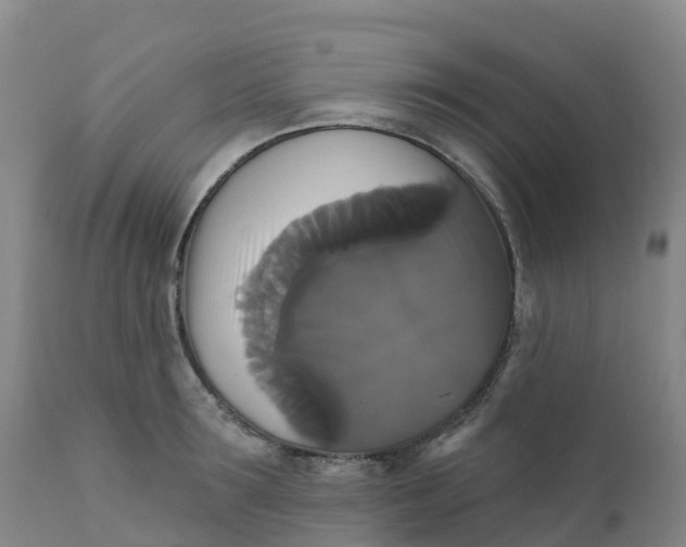 X0000111820899200908131520