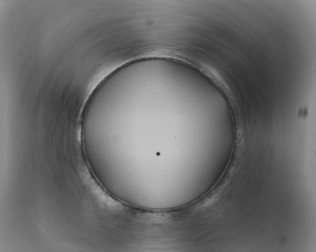 X0000111820900200908131520