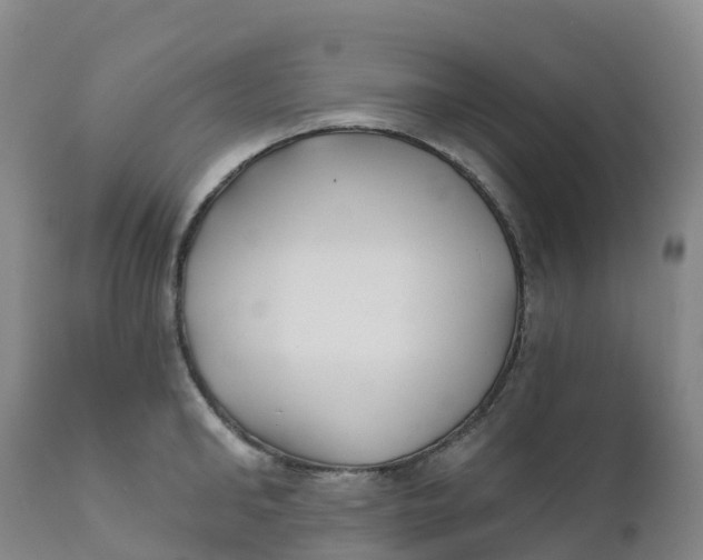 X0000111820902200908131520