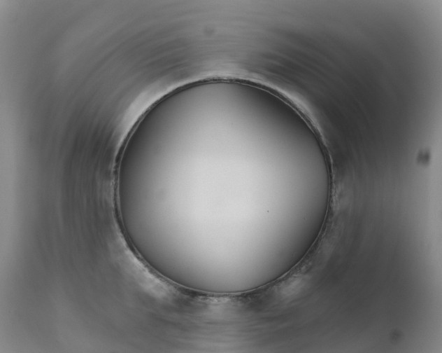 X0000111820903200908131520