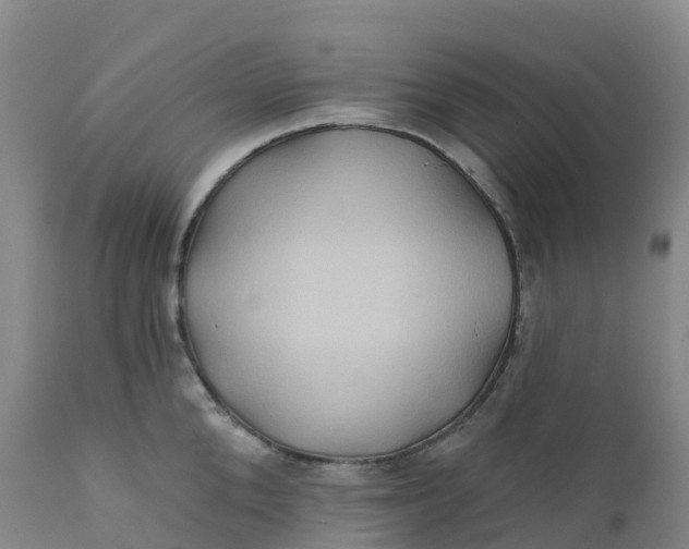 X0000111820904200908131520