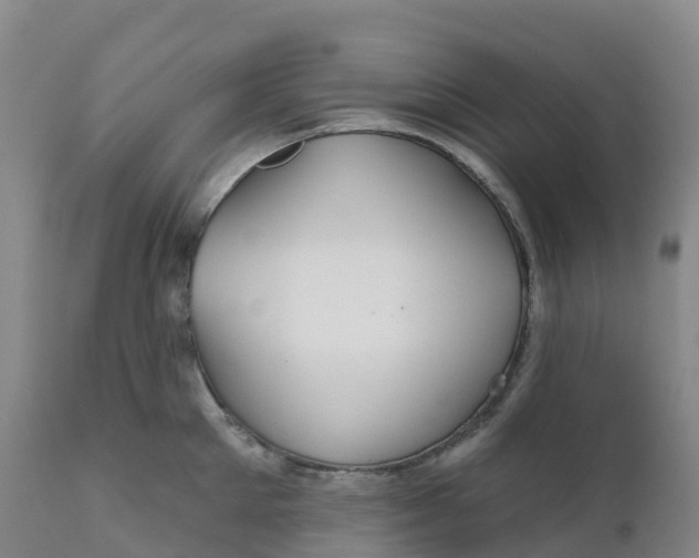 X0000111820905200908131520