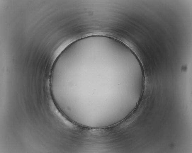 X0000111820906200908131520