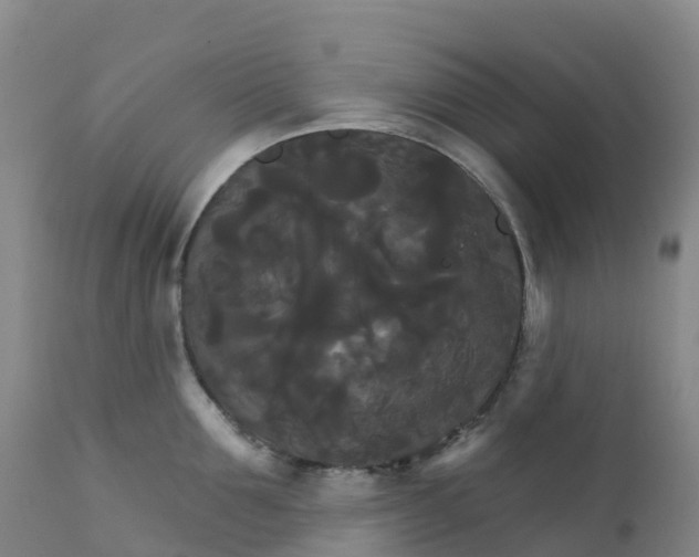 X0000111820907200908131520