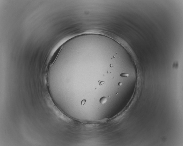 X0000111820908200908131520